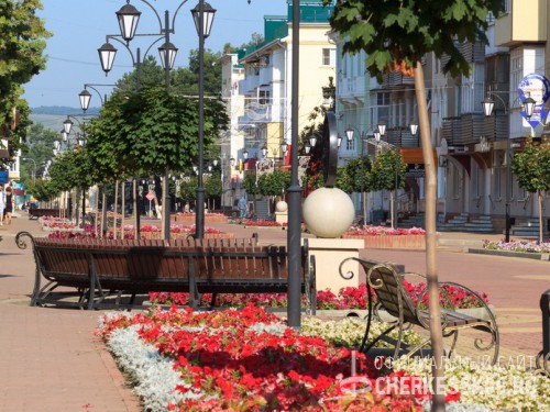 Столицу Карачаево-Черкесии к майским праздникам украсят более 300 тысяч цветов