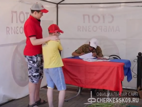 Жители Черкесска собрали на улицах города более 400 тысяч стеблей амброзии
