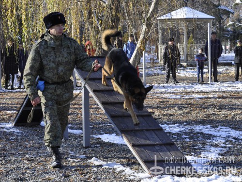 В столице Карачаево-Черкесии открылась первая площадка для выгула и дрессуры собак