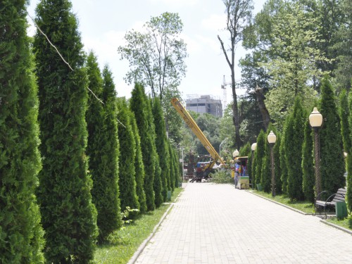 Снос аварийных деревьев проводится в парке «Зеленый остров» ⠀⠀⠀ ⠀⠀⠀⠀⠀ ⠀⠀⠀⠀⠀⠀⠀⠀