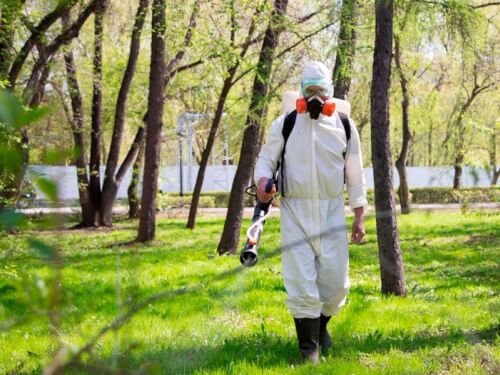 Скверы и парки столицы Карачаево-Черкесии обрабатывают от насекомых вредителей